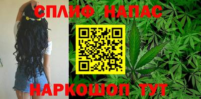 стафф Донецк