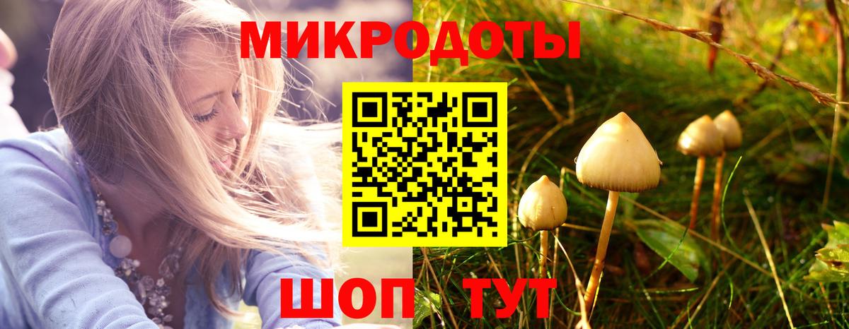 как найти наркотики  Вход с VPN  Муравленко  Галлюциногенные грибы мицелий 