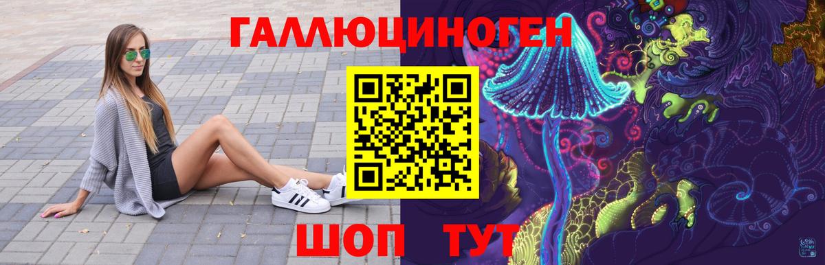 Галлюциногенные грибы Psilocybe Муравленко